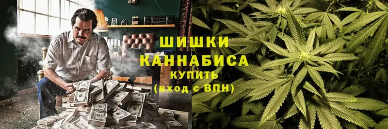 Канабис Ganja  где можно купить наркотик  Кашин 